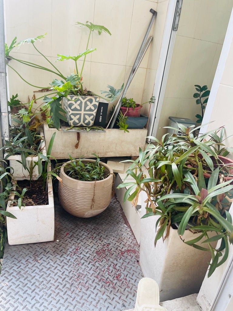 Bán nhà Đặng Văn Ngữ - diện tích 29m2 3 tầng - ô tô tránh - giá 7,5 tỷ