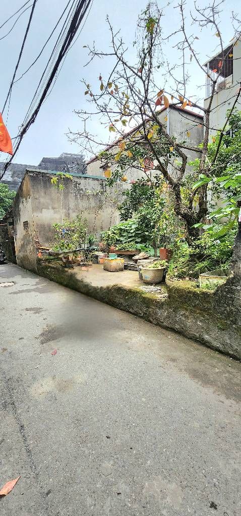 Bán đất Ngọc Thụy 33,8m2, Q. Long Biên - Giá 4 tỷ - Ảnh 2