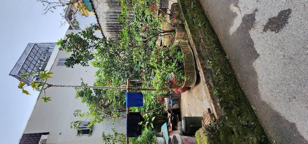 Bán đất Ngọc Thụy 33,8m2, Q. Long Biên - Giá 4 tỷ - Ảnh 4