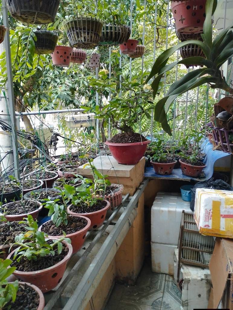 Bán nhà Giáp Nhất - diện tích 49m2 6 tầng - Nhà lô góc - giá 13,8 tỷ