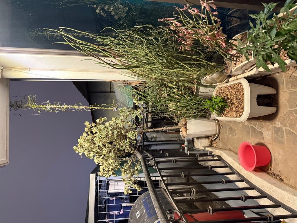 Bán nhà Giếng Mứt - diện tích 48m2 6 tầng - Cực phẩm hiếm - giá 10,8 tỷ