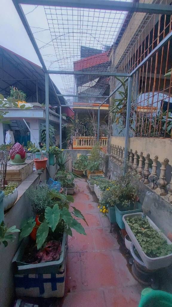 Bán nhà Tôn Đức Thắng - diện tích 26,4m2 5 tầng - Ô tô tránh - giá 9,4 tỷ