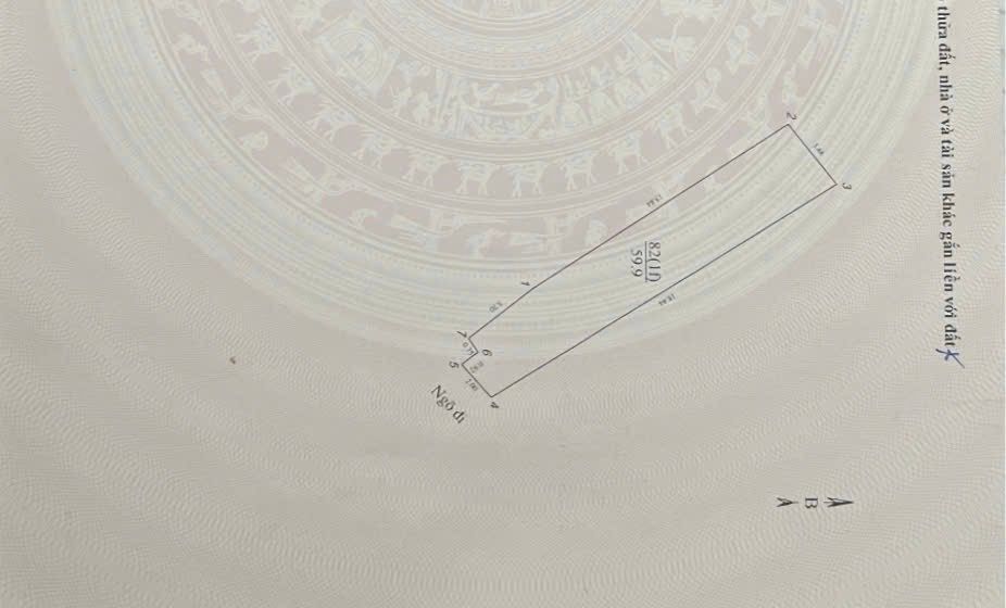 Bán nhà Bạch Đằng - diện tích 59,9m2 4 tầng - sân vườn riêng - giá 6,5 tỷ