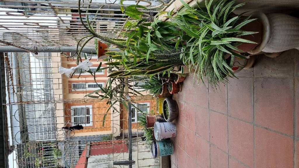 Bán nhà Kim Ngưu - diện tích 41,2m2 4 tầng - Nhà đẹp hiếm có - giá 9,25 tỷ