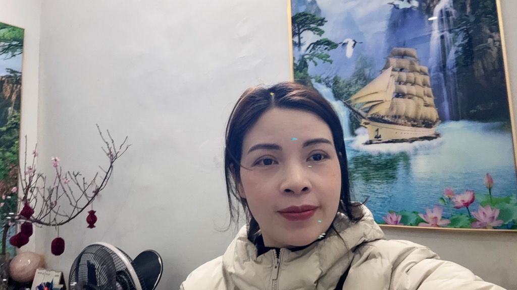 Bán nhà Mai Hắc Đế - diện tích 110m2 1 tầng - Ô tô đỗ chân cầu thang - giá 9,6 tỷ