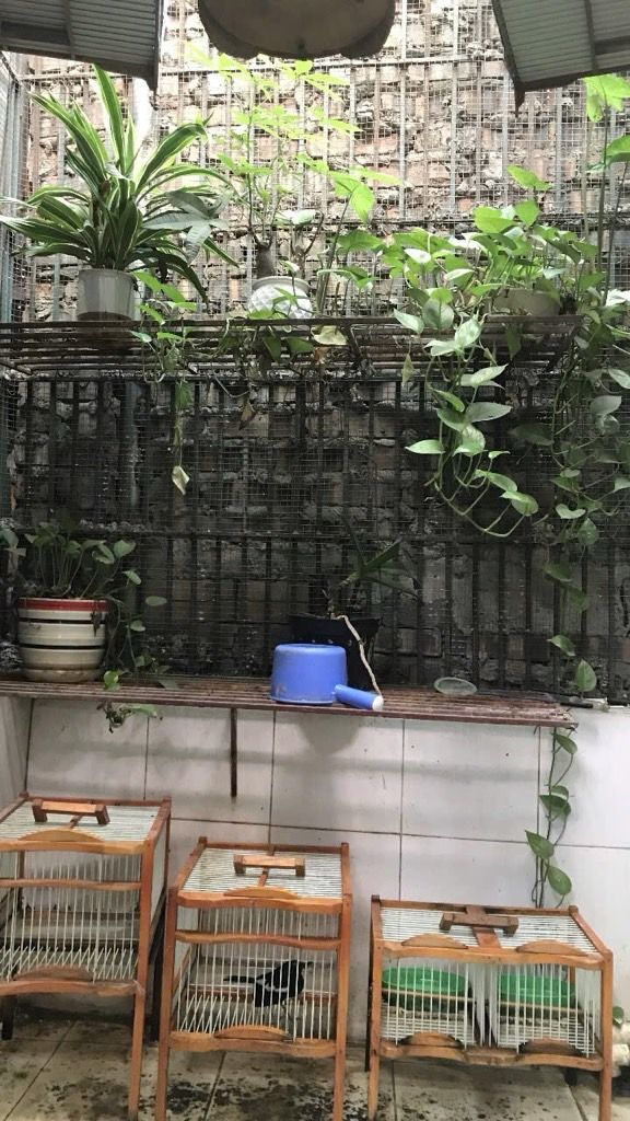 Bán nhà Định Công Thượng - diện tích 30.2m2 2 tầng - Ô tô tránh - giá 2,9 tỷ