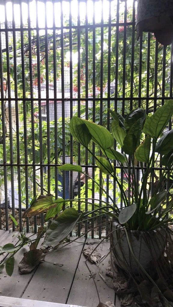 Bán nhà Định Công Thượng - diện tích 30.2m2 2 tầng - Ô tô tránh - giá 2,9 tỷ