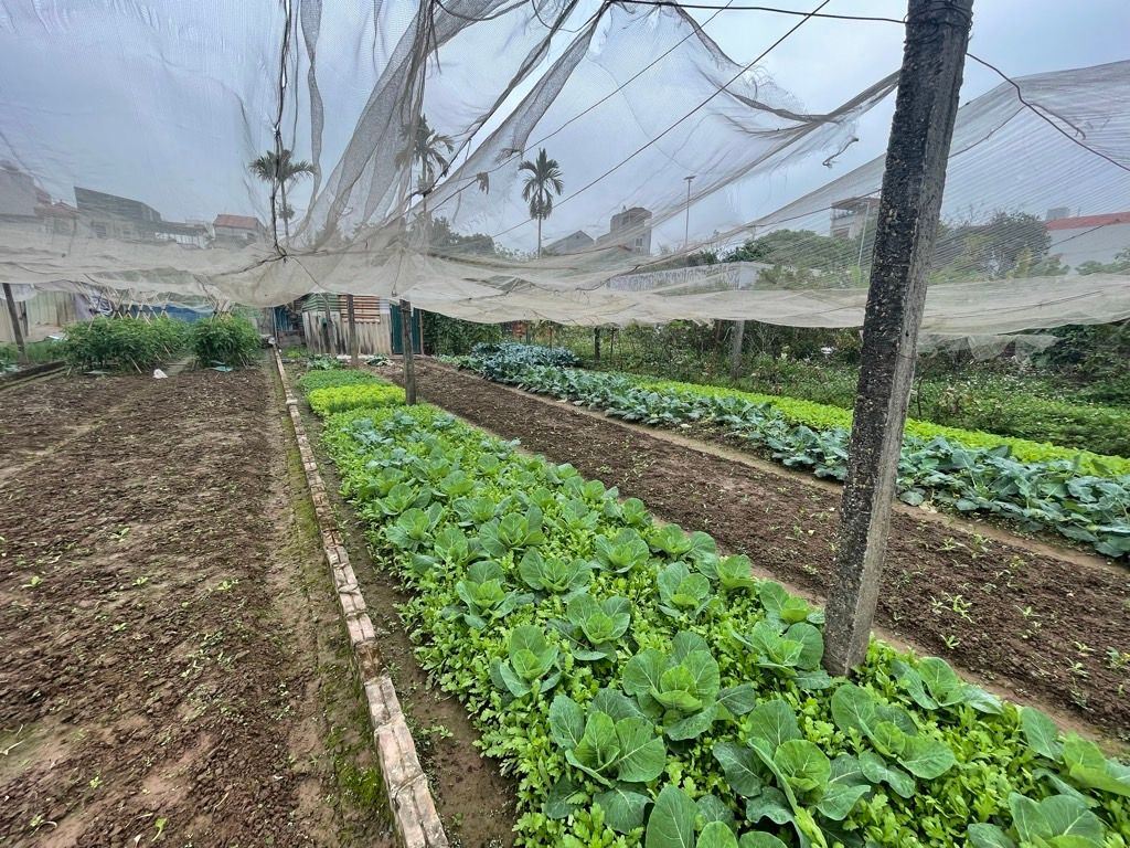 Bán nhà Thúy Lĩnh - diện tích 475m2 1 tầng - Đường ô tô thông - giá 4,9 tỷ