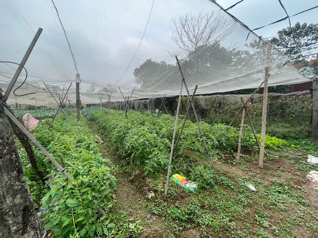 Bán nhà Thúy Lĩnh - diện tích 475m2 1 tầng - Đường ô tô thông - giá 4,9 tỷ