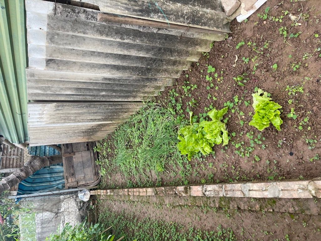 Bán nhà Thúy Lĩnh - diện tích 475m2 1 tầng - Đường ô tô thông - giá 4,9 tỷ