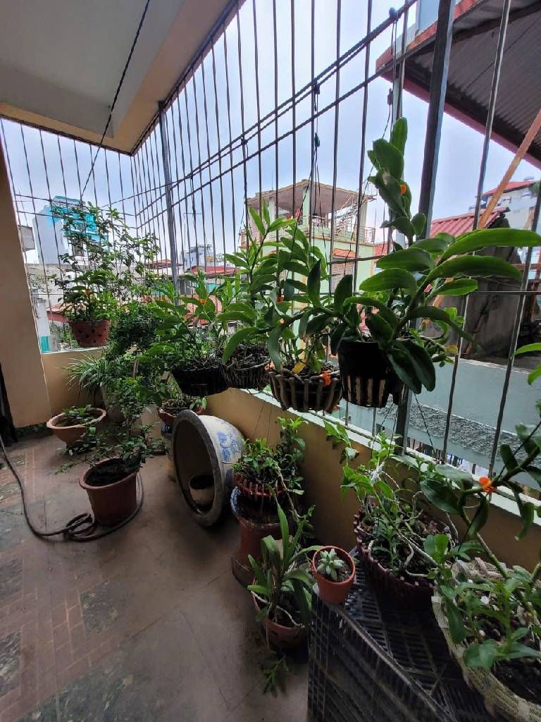 Bán nhà Hào Nam - diện tích 35m2 5 tầng - Gần Ga Cát Linh - giá 9,3 tỷ