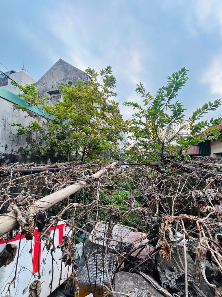 Bán nhà Yên Duyên - diện tích 125m2 1 tầng - Đất đẹp, ngõ thông - giá 16,8 tỷ