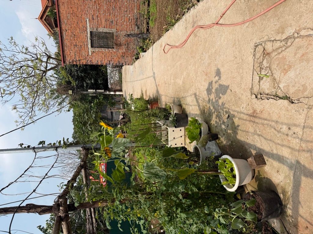 Bán nhà Thúy Lĩnh - diện tích 30m2 1 tầng - Ô Tô đỗ cổng - giá 3,9 tỷ