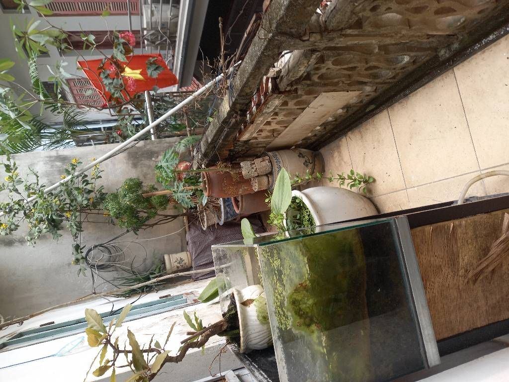 Bán nhà Thanh Nhàn - diện tích 71.3m2 2 tầng - gần công viên, ngõ thông - giá 15,8 tỷ