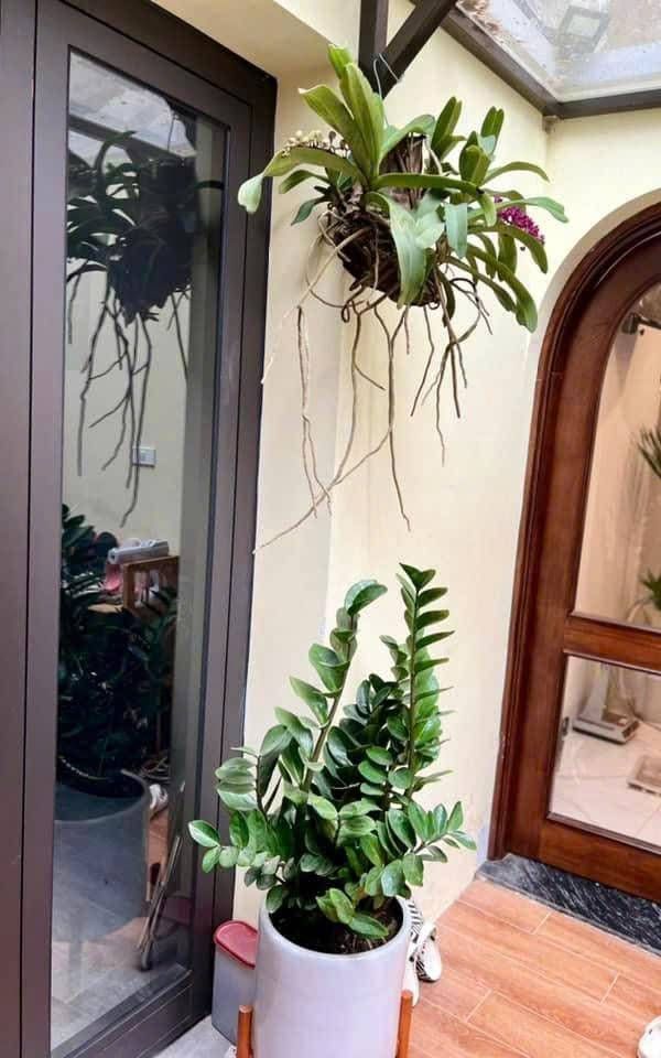 Bán nhà Bùi Ngọc Dương - diện tích 42.2m2 1 tầng - Nhà đẹp hiếm có - giá 8,5 tỷ