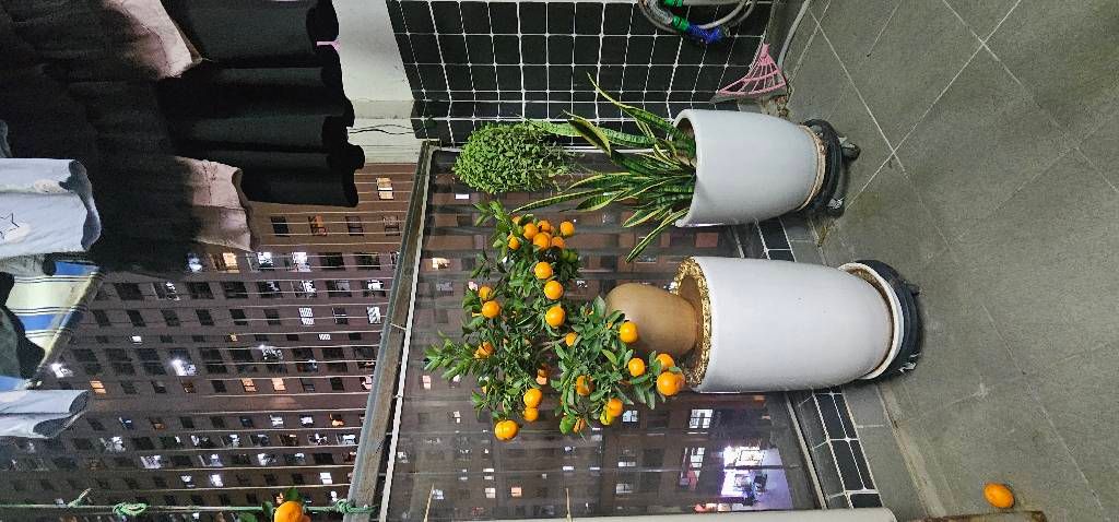 Bán nhà Kim Lũ - diện tích 79,3m2 1 tầng - Căn hộ cc giá tốt nhất khu vực - giá 7,35 tỷ