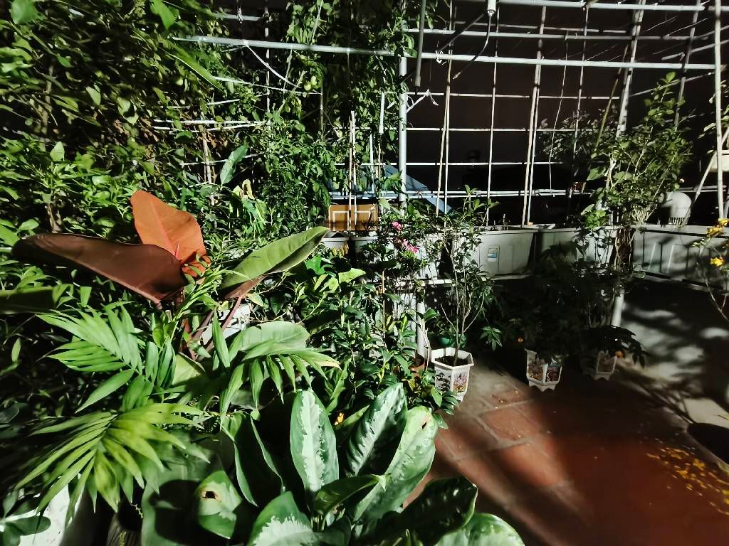 Bán nhà Thúy Lĩnh - diện tích 35,6m2 4 tầng - Ô TÔ ĐỖ CỔNG - giá 6,5 tỷ