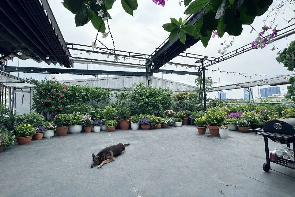 Bán nhà Nguyễn Chí Thanh - diện tích 44,2m2 1 tầng - ô tô đỗ cửa - giá 5,6 tỷ