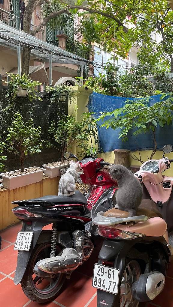 Bán nhà Lương Thế Vinh - diện tích 76m2 3 tầng - Ô tô đỗ cửa - giá 21 tỷ