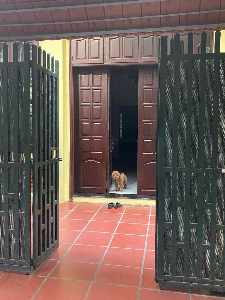 Bán nhà Lương Thế Vinh - diện tích 76m2 3 tầng - Ô tô đỗ cửa - giá 21 tỷ