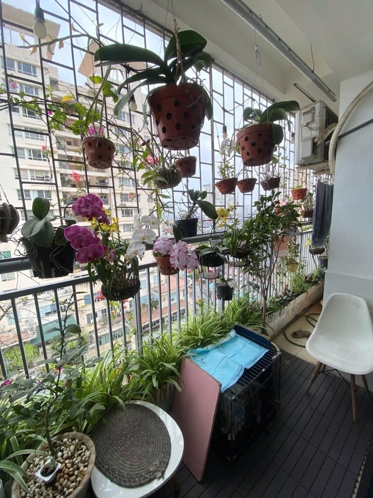 Bán nhà Nguyễn Đức Cảnh - diện tích 66.2m2 12 tầng - Thang máy - giá 5,5 tỷ