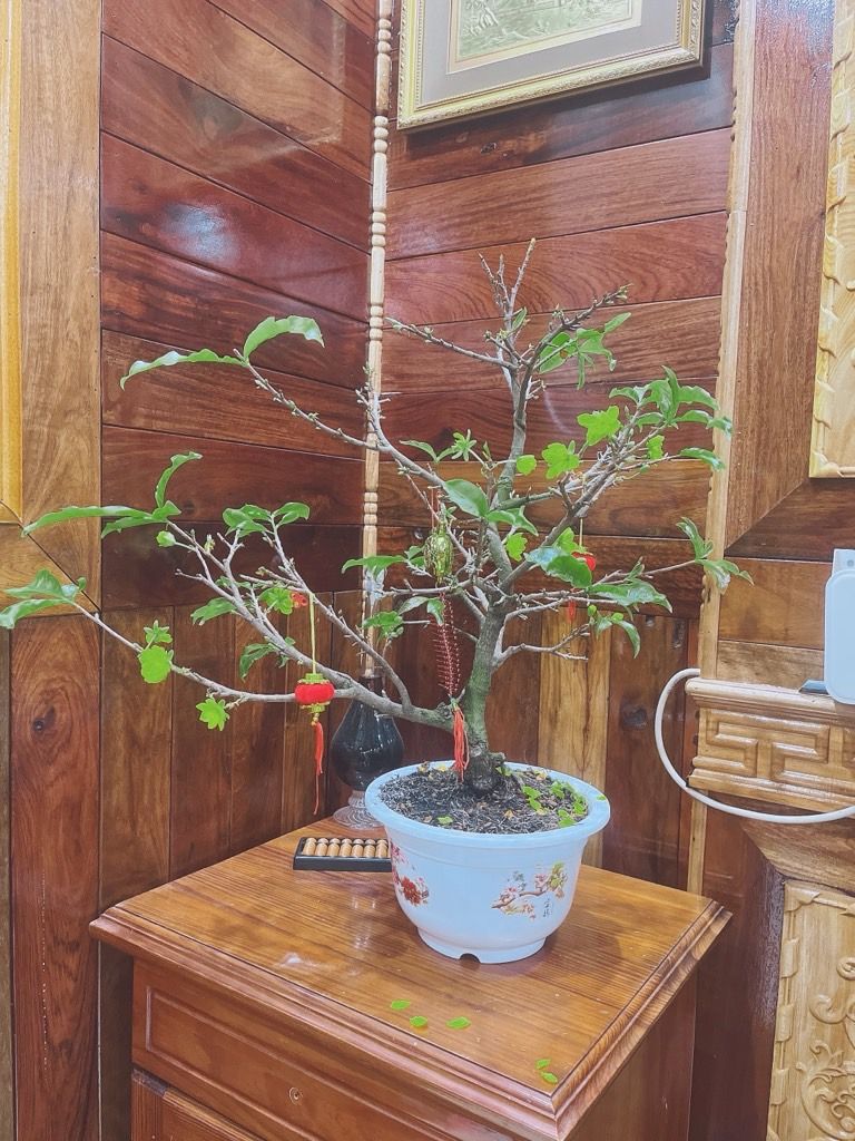 Bán nhà Trần Khát Chân - diện tích 36m2 5 tầng - Nhà đẹp hiếm có - giá 11,8 tỷ