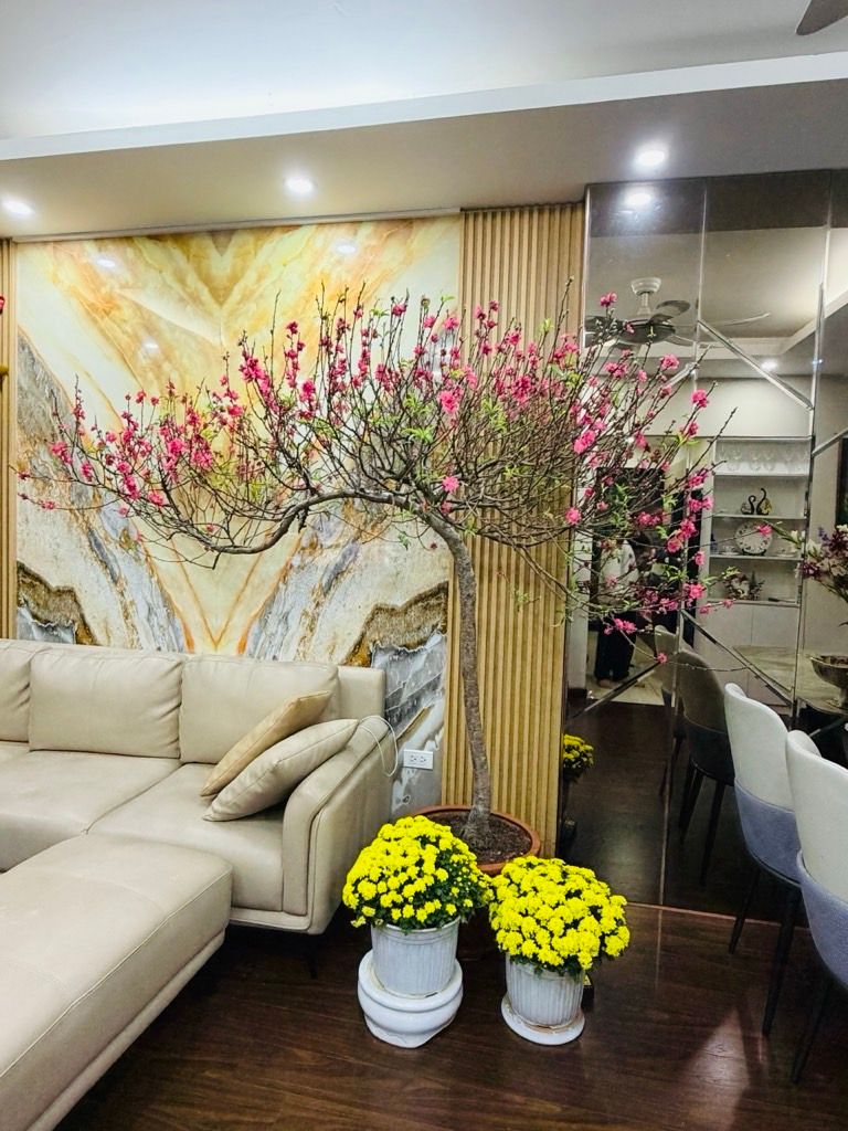 Bán nhà Nguyễn Xiển - diện tích 67,4m2 1 tầng - Căn hộ chung cư toà Beasky - giá 7,15 tỷ