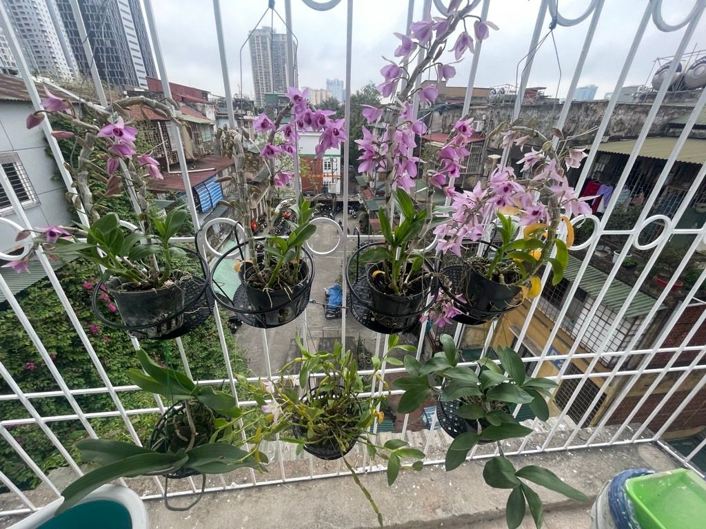 Bán nhà Số 7 Huỳnh Thúc Kháng - diện tích 21,9m2 2 tầng - Nhà đẹp như tranh - giá 5,6 tỷ