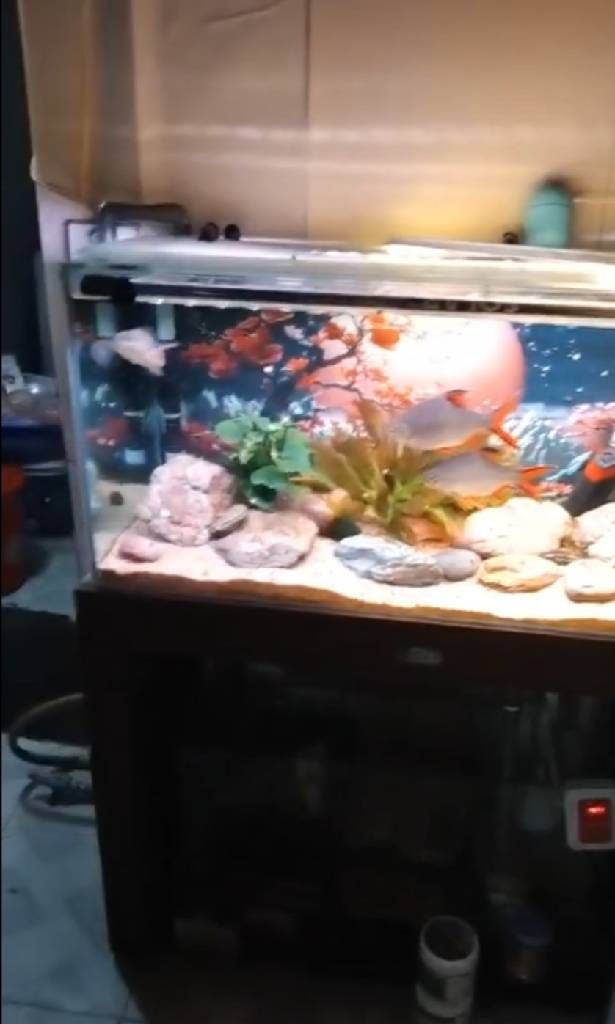 Bán nhà Vĩnh Quỳnh - diện tích 32m2 2 tầng - Nhà đất ở hoàn toàn không quy hoạch - giá 1,6 tỷ