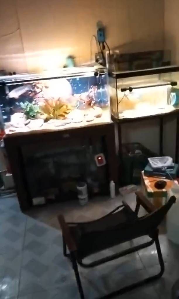 Bán nhà Vĩnh Quỳnh - diện tích 32m2 2 tầng - Nhà đất ở hoàn toàn không quy hoạch - giá 1,6 tỷ