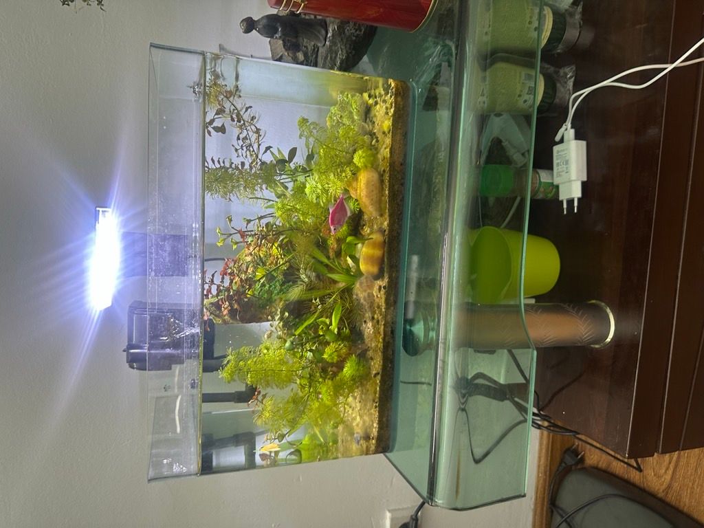 Bán nhà Kim Văn Kim Lũ - diện tích 65m2 7 tầng - Đối diện ĐH Thang Long, gần bệnh viện Nhi - giá 4,6 tỷ