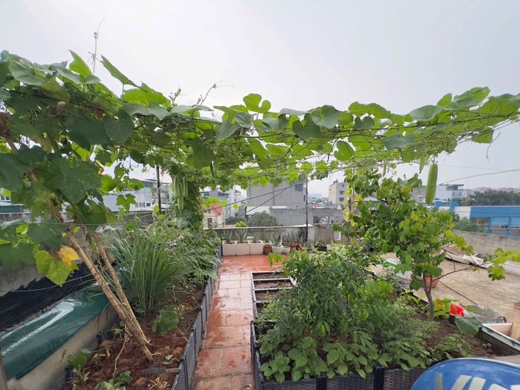 Bán nhà Định Công - diện tích 30,5m2 5 tầng - giá 11 tỷ