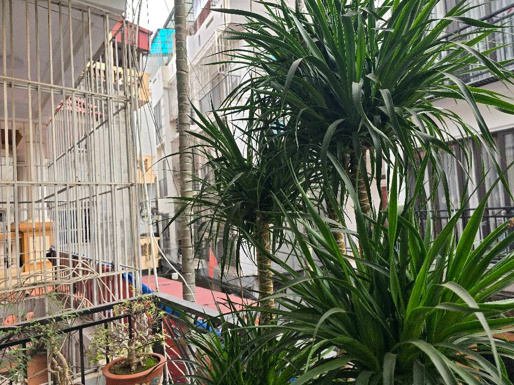 Bán nhà Nguyễn Chính - diện tích 59.2m2 5 tầng - ô tô tránh - giá 21,95 tỷ