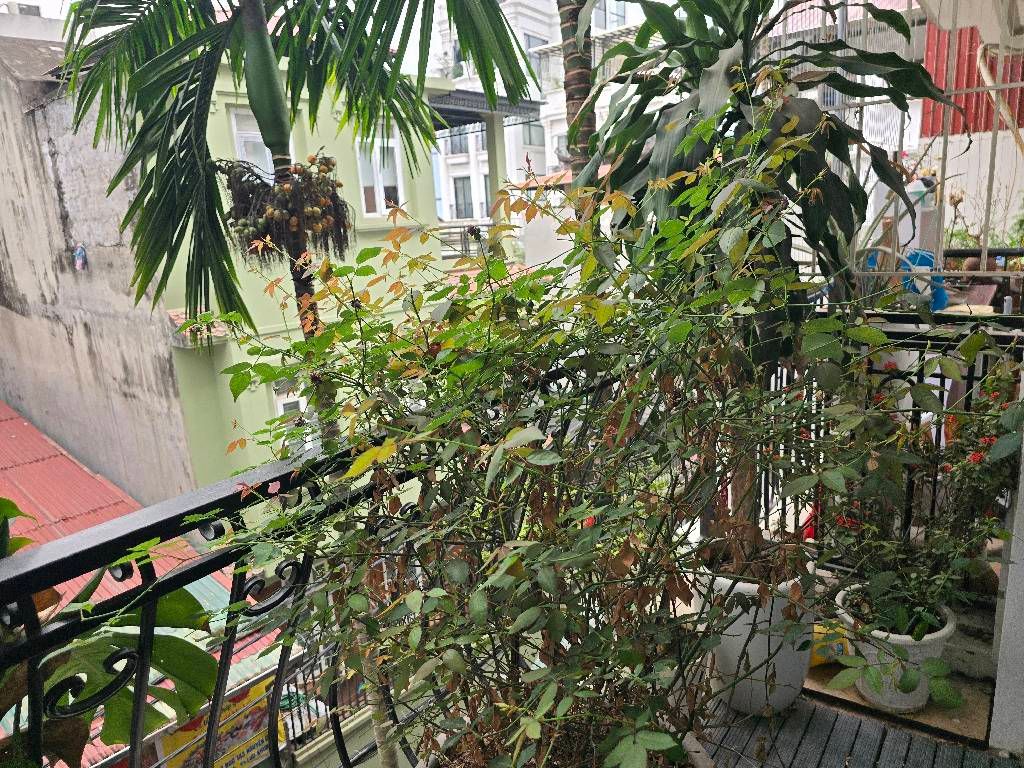 Bán nhà Nguyễn Chính - diện tích 59.2m2 5 tầng - ô tô tránh - giá 21,95 tỷ