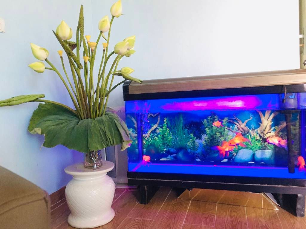 Bán nhà Kim Hoa - diện tích 60m2 7 tầng - lô góc 3 mặt thoáng - giá 3,2 tỷ