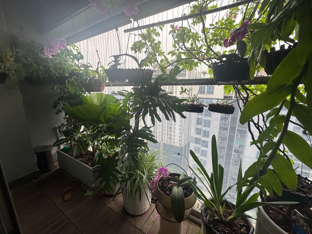 Bán nhà Vũ Trọng Phụng - diện tích 92m2 22 tầng - Lô góc thoáng sáng - giá 12,9 tỷ