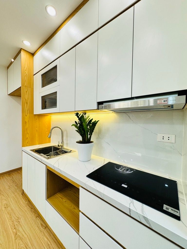 Bán nhà Dốc Thọ Lão - diện tích 80m2 1 tầng - Căn hộ tập thể đẹp – vào ở ngay không cần sửa - giá 0 tỷ