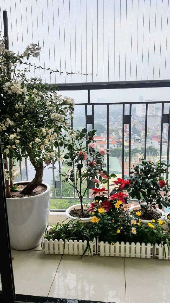 Bán nhà Trần Hòa - diện tích 102.2m2 14 tầng - Căn hộ lô góc - giá 8,15 tỷ