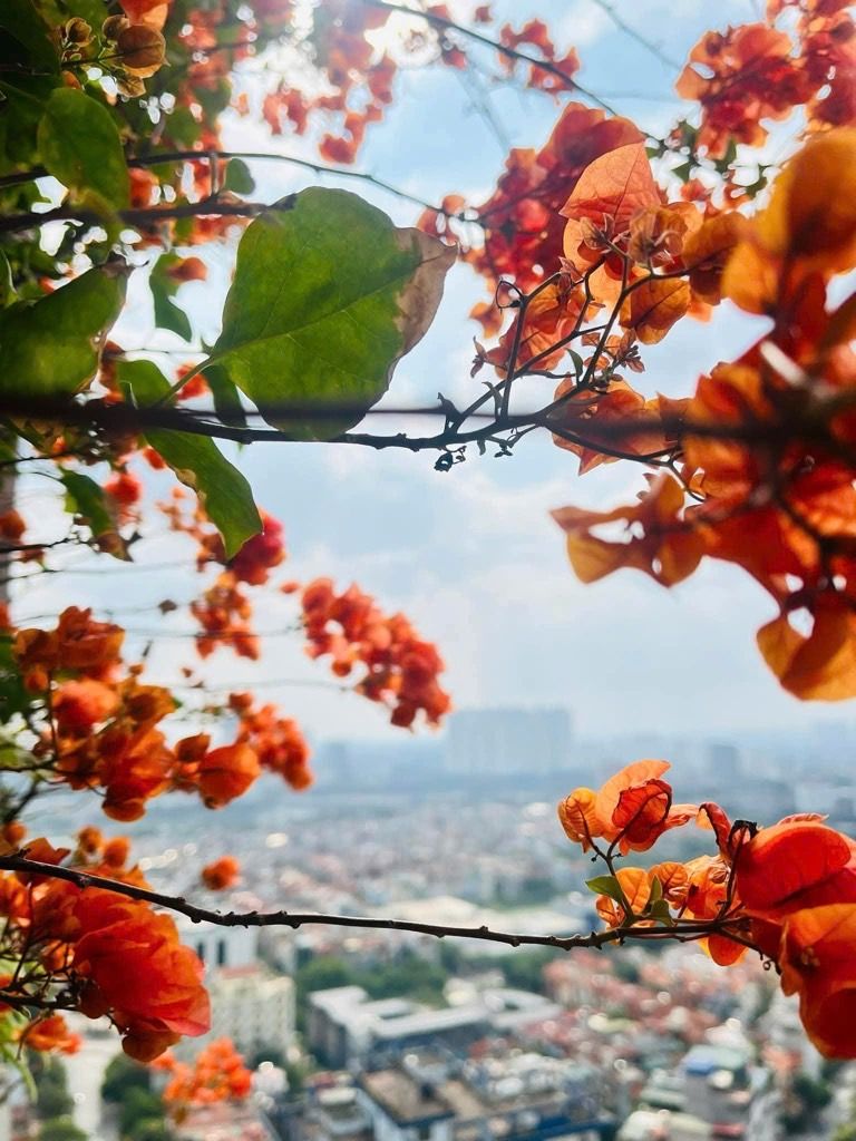 Bán nhà Nguyễn Cảnh Dị - diện tích 92.7m2 31 tầng - Căn góc giá 8,7 tỷ