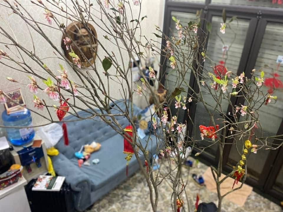 Bán nhà Hồng Mai - diện tích 16,8m2 4 tầng - ô tô đỗ cửa - giá 7,5 tỷ