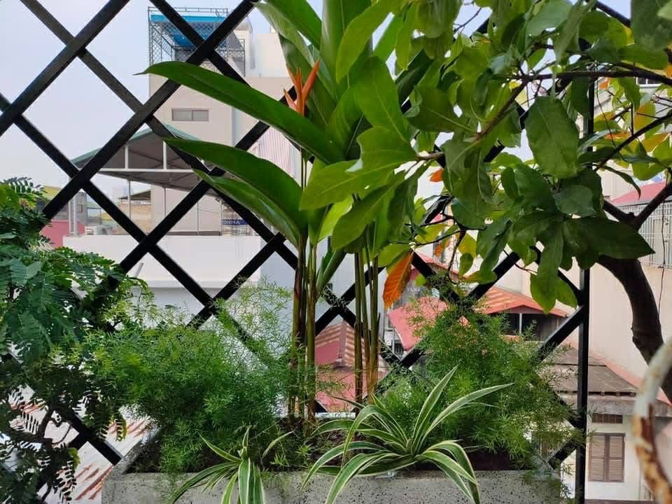 Bán nhà Hồng Mai - diện tích 16,8m2 4 tầng - ô tô đỗ cửa - giá 7,5 tỷ