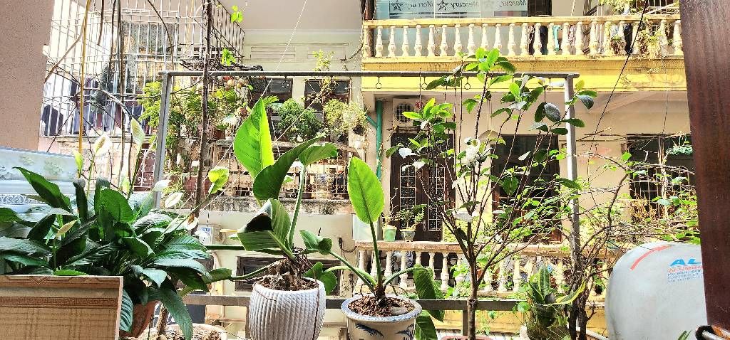 Bán nhà Bạch Mai - diện tích 27m2 5 tầng - Ô tô qua - giá 15 tỷ