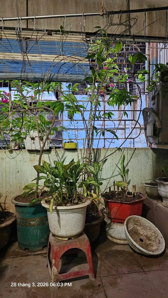 Bán nhà Tôn đức Thắng - diện tích 20,8m2 3,5 tầng - Nhà đẹp hiếm có - giá 4,3 tỷ