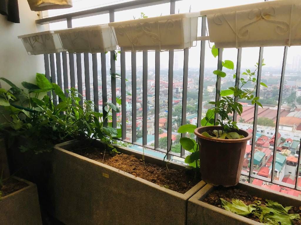 Bán nhà Hoàng Liệt - diện tích 69m2 16 tầng - CĂN HỘ 2 NGỦ- 2 VỆ SINH - VỀ Ở NGAY - giá 5,4 tỷ