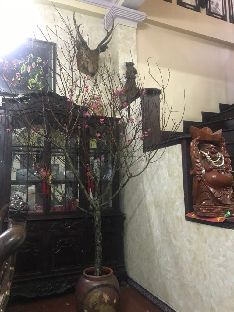 Bán nhà Lê Quý Đôn - diện tích 64.1m2 5 tầng - Sát phố, nhà cho thuê dòng tiền hàng tháng - giá 17,3 tỷ