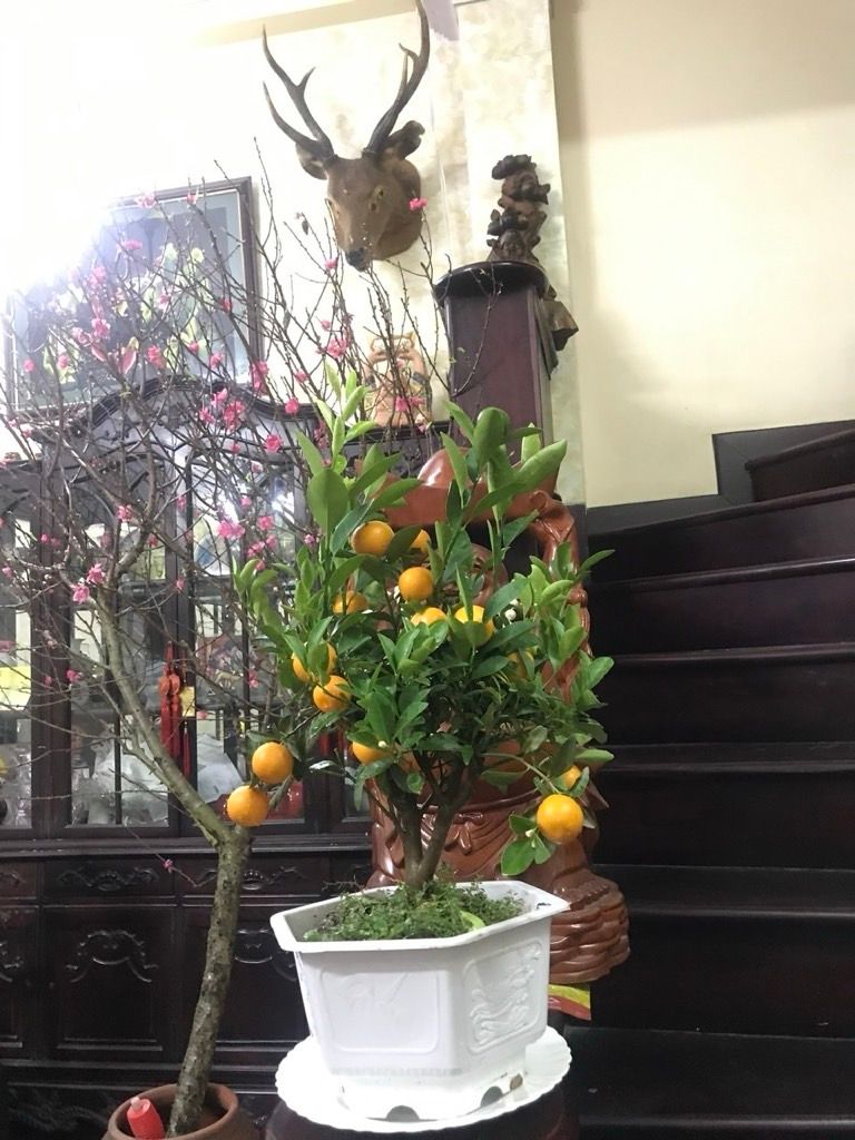 Bán nhà Lê Quý Đôn - diện tích 64.1m2 5 tầng - Sát phố, nhà cho thuê dòng tiền hàng tháng - giá 17,3 tỷ