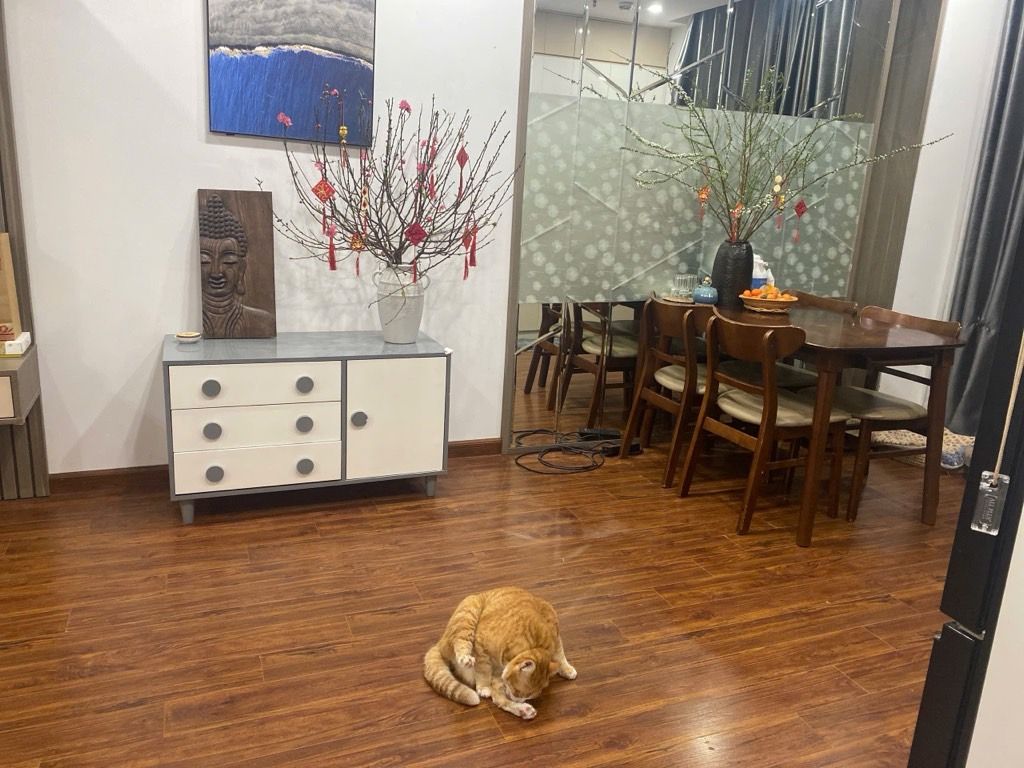 Bán nhà Định Công - diện tích 65m2 1 tầng - Căn hộ chung cư mini đẹp trung tâm - giá 6,5 tỷ