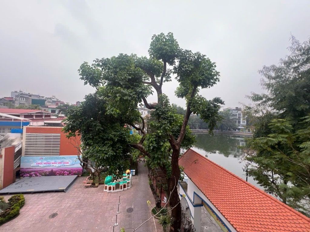 Bán nhà Hương Viên - diện tích 33.1m2 4 tầng - 2 mặt thoáng vĩnh viễn - giá 13 tỷ