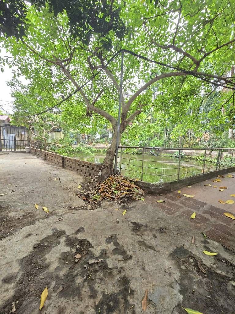 Bán nhà Nguyễn Khoái - diện tích 175m2 3 tầng - Bán đất tặng nhà 3 tầng - giá 24 tỷ