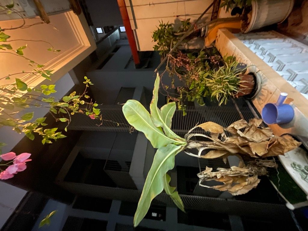 Bán nhà Chính Kinh - diện tích 33.9m2 4 tầng - 2 mặt thoáng - giá 9,7 tỷ